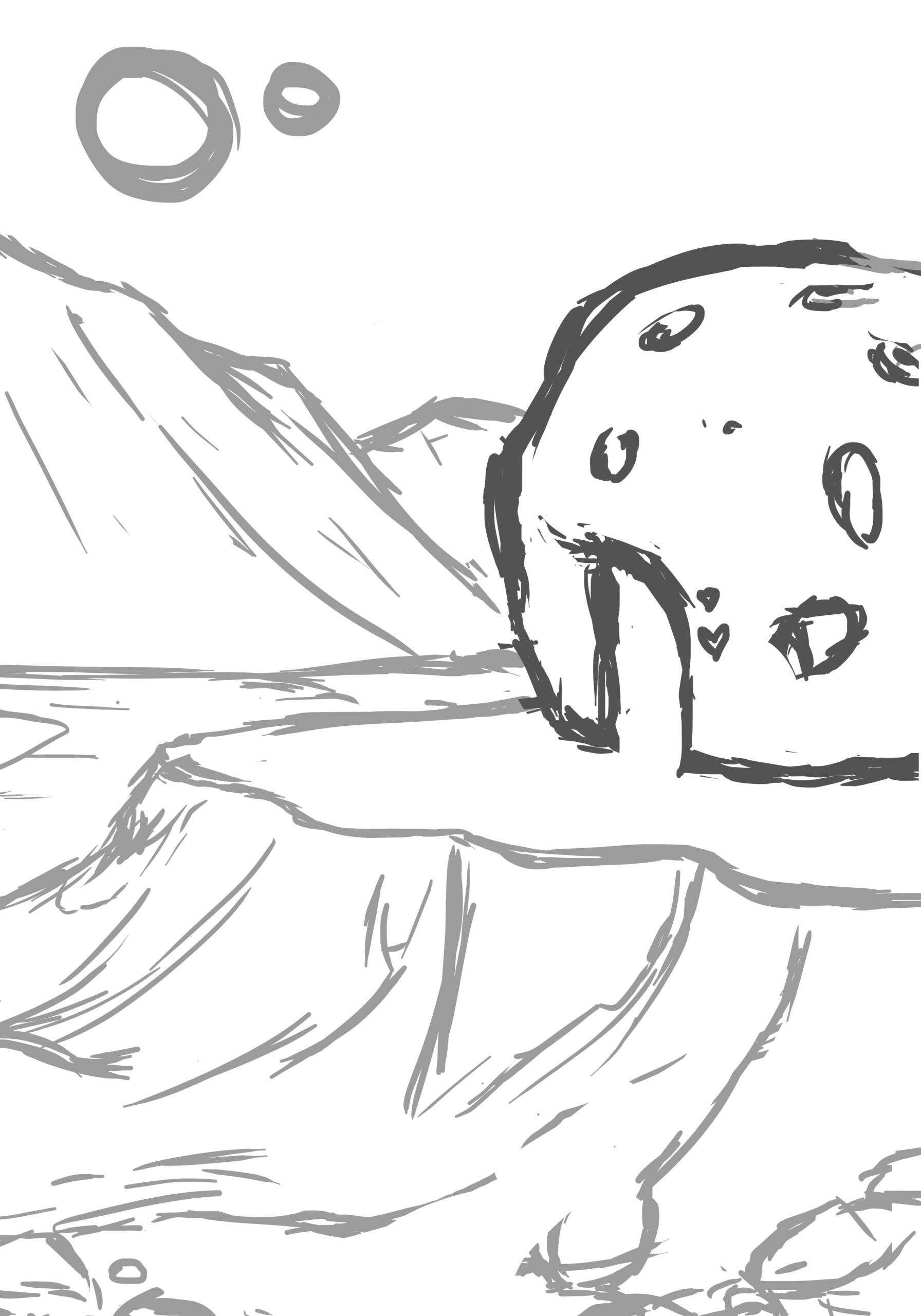 boceto